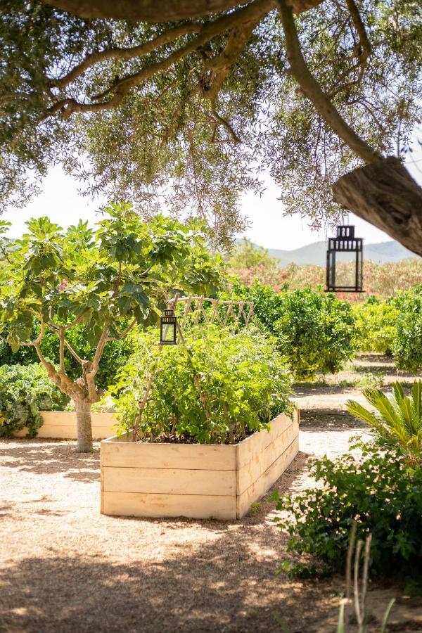 Can Arabi - Adults Only Puig D'en Valls Экстерьер фото