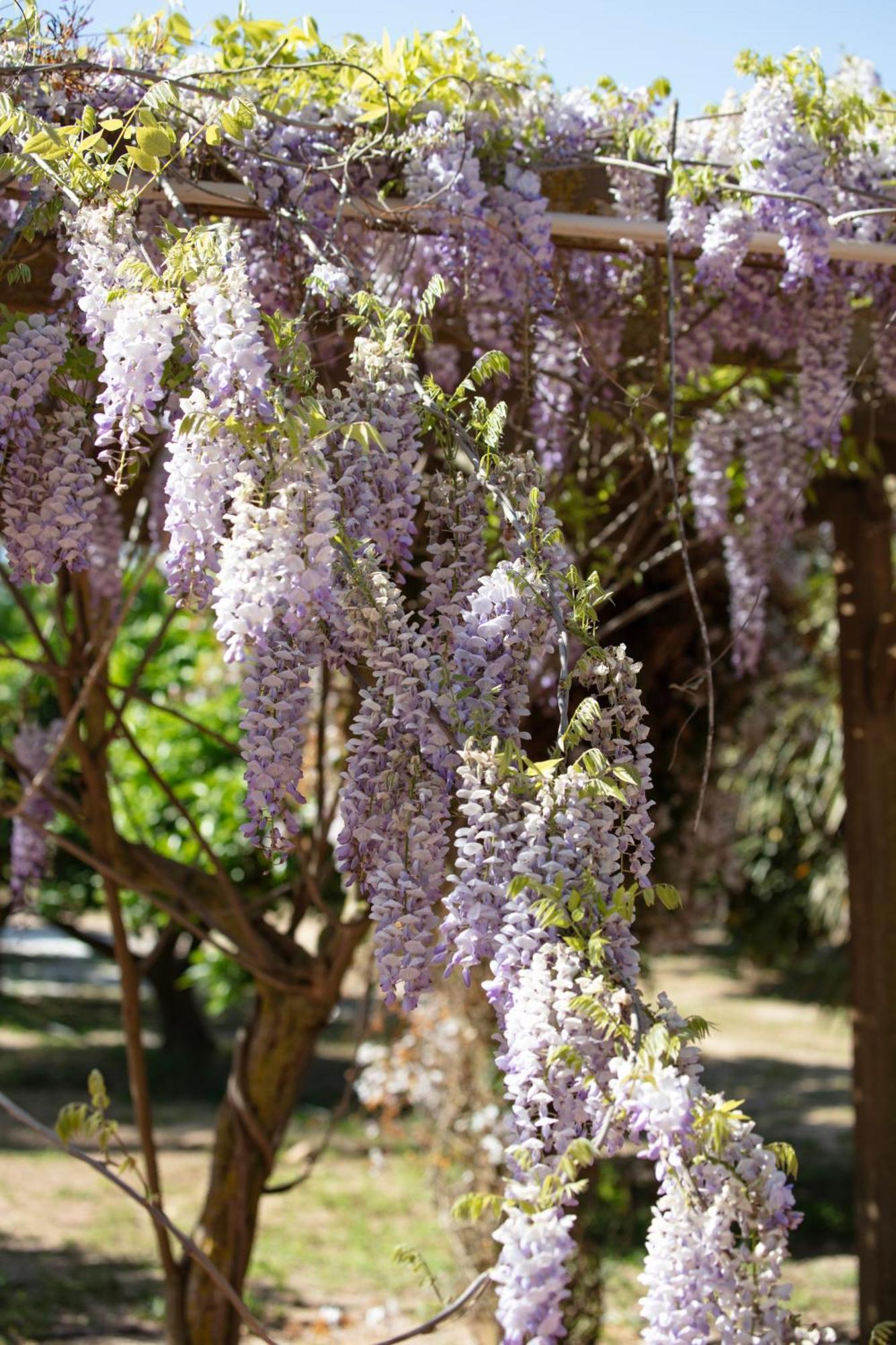 Can Arabi - Adults Only Puig D'en Valls Экстерьер фото